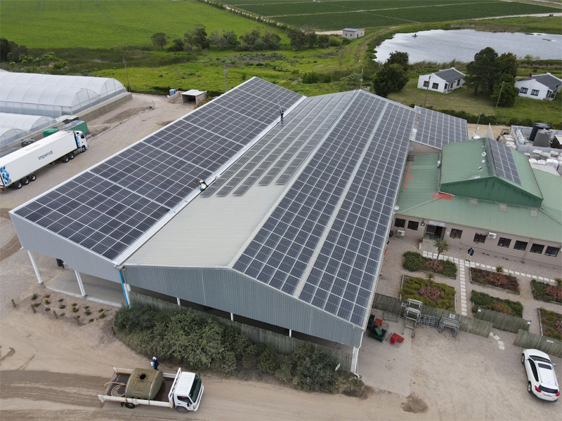 Total investment: 98.8 billion yuan! Construction of the 12GW Shagohuangfeng and Everbright bases has commenced.